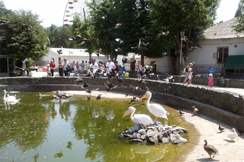 зоопарк в детском парке